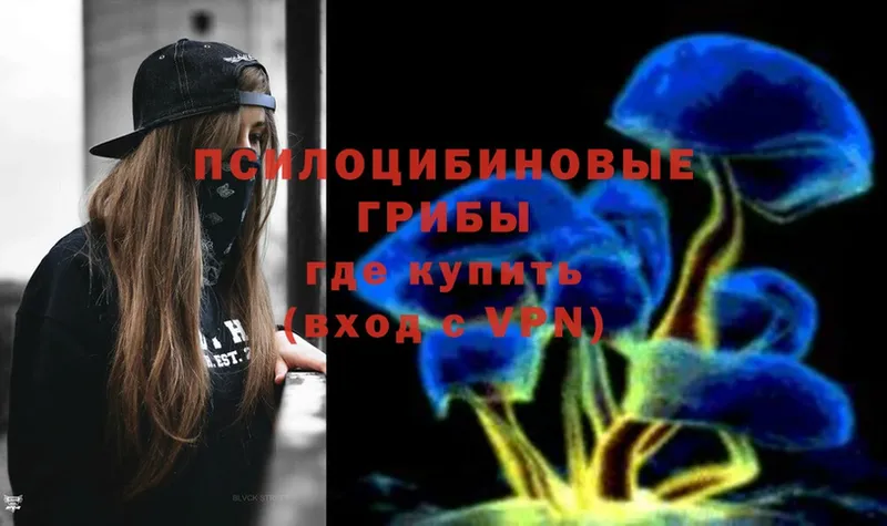 Псилоцибиновые грибы Magic Shrooms  что такое   Нарьян-Мар 